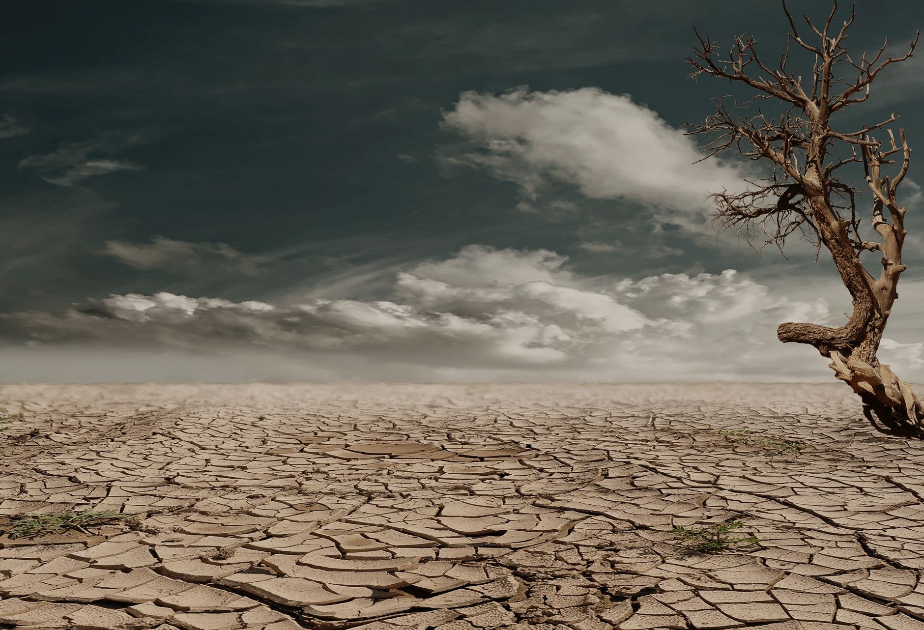 Extreme Heat conference cancelled due to extreme heat warning
