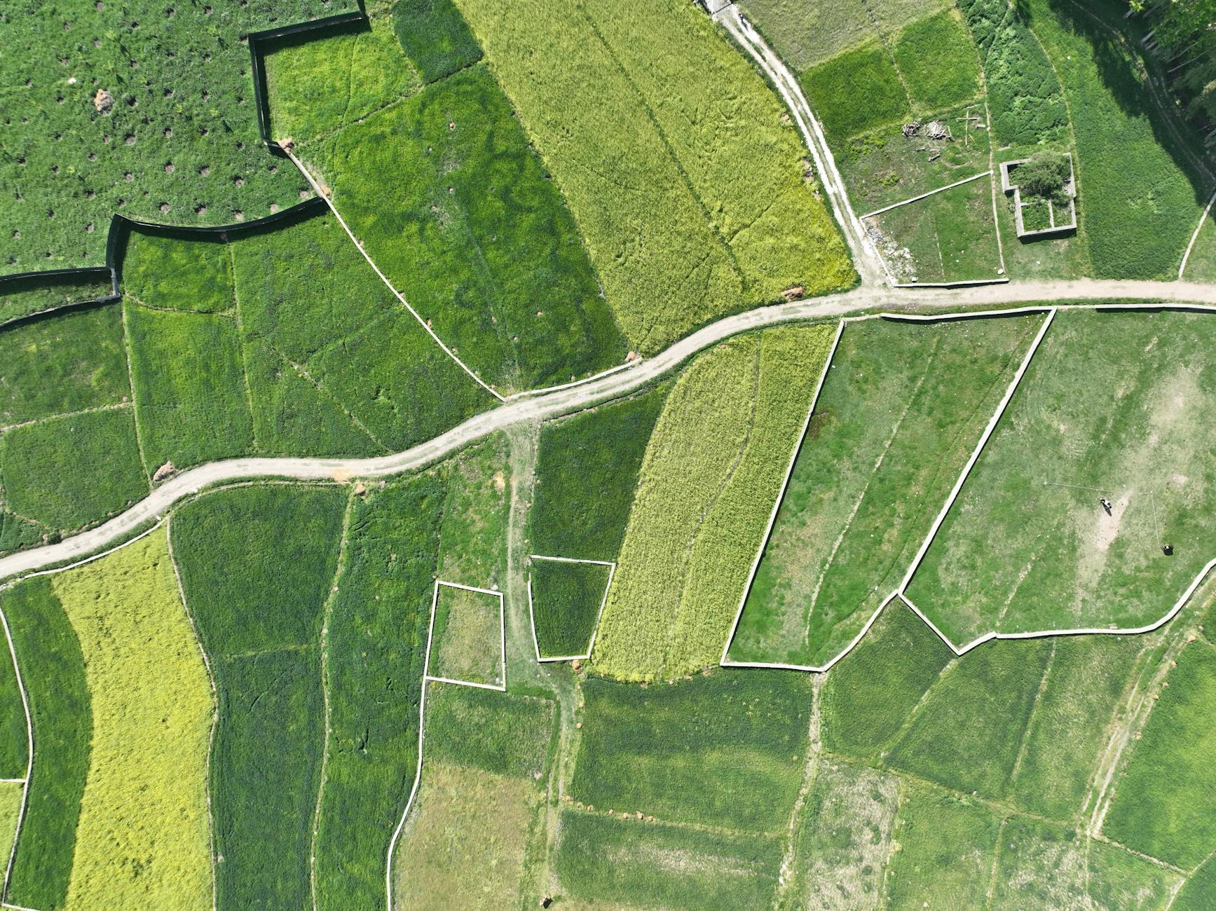 GeoContra: From Fluent GIS Code to Verifiable Spatial Analysis with Geography-Grounded Repair