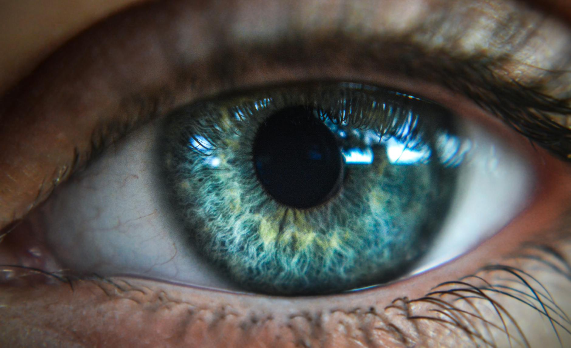 ICE Awards $25M Iris-Scanning Contract to Bi2 Technologies