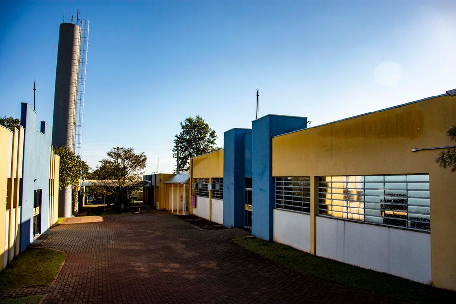 Bioenergia no Brasil amplia papel na descarbonização