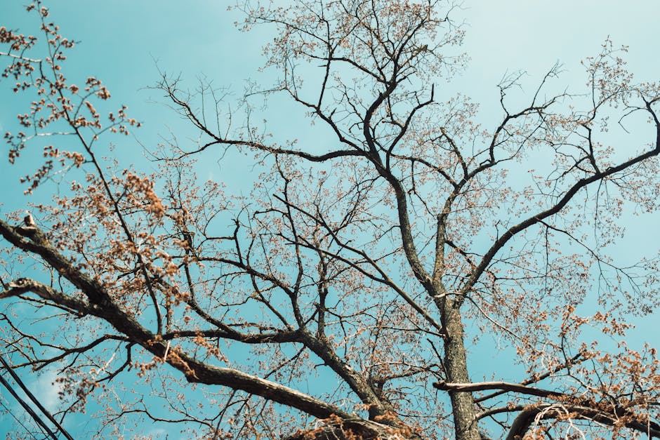 Counting Worlds Branching Time Semantics for post-hoc Bias Mitigation in generative AI