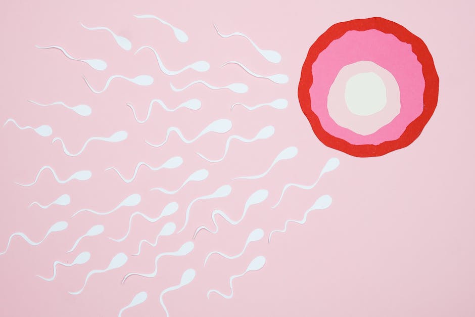 Spermatogonial Stem Cell (SSC) Transplant and Testicular Tissue Grafting