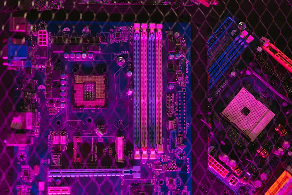 The Tech Oligarch's Republic