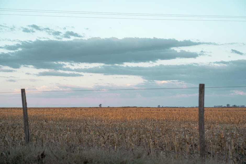 O agro está no limite — e a culpa é do calor: o alerta da ONU para o setor