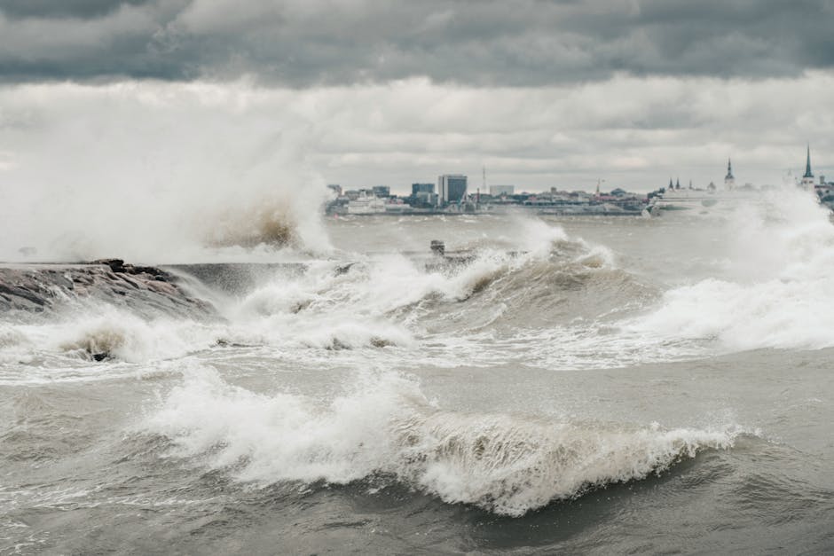 Storm Surge Modeling, Bias Correction, Graph Neural Networks, Graph Convolution Networks