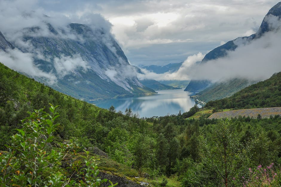 Norway Set to Become Latest Country to Ban Social Media for Under 16s