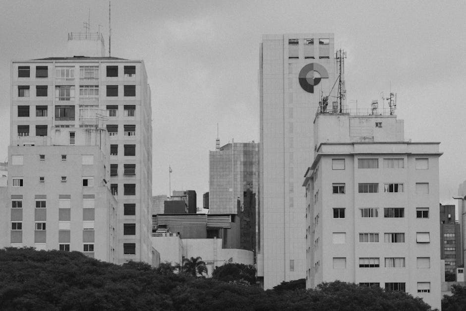 Quem é a empresa dos EUA que comprou a única mina de terras raras do Brasil