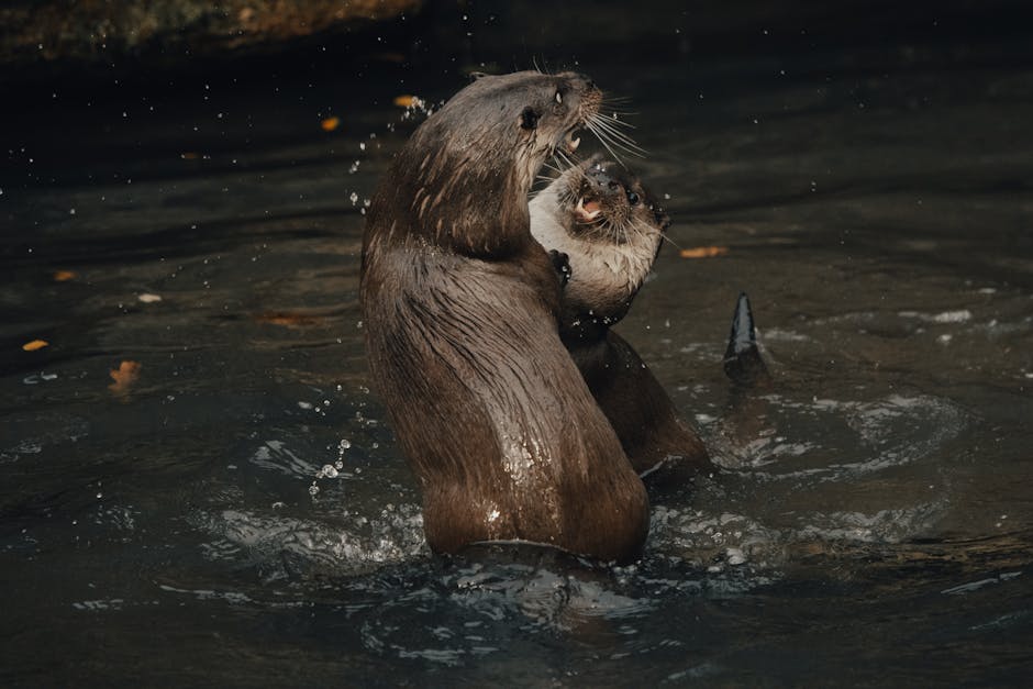 Otter transforma app de atas em buscador corporativo com integração a Gmail e Salesforce