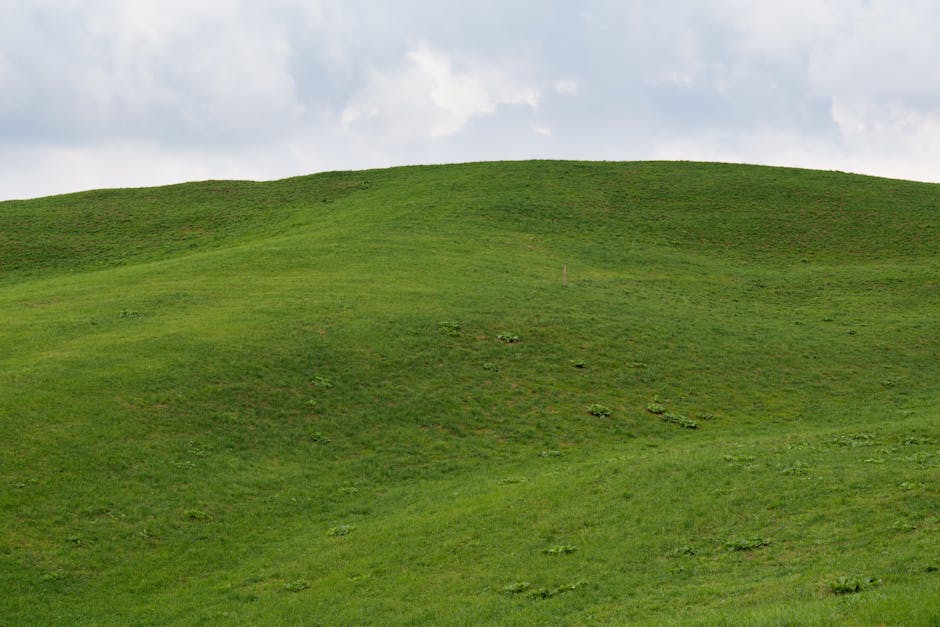 Online age verification is the hill to die on