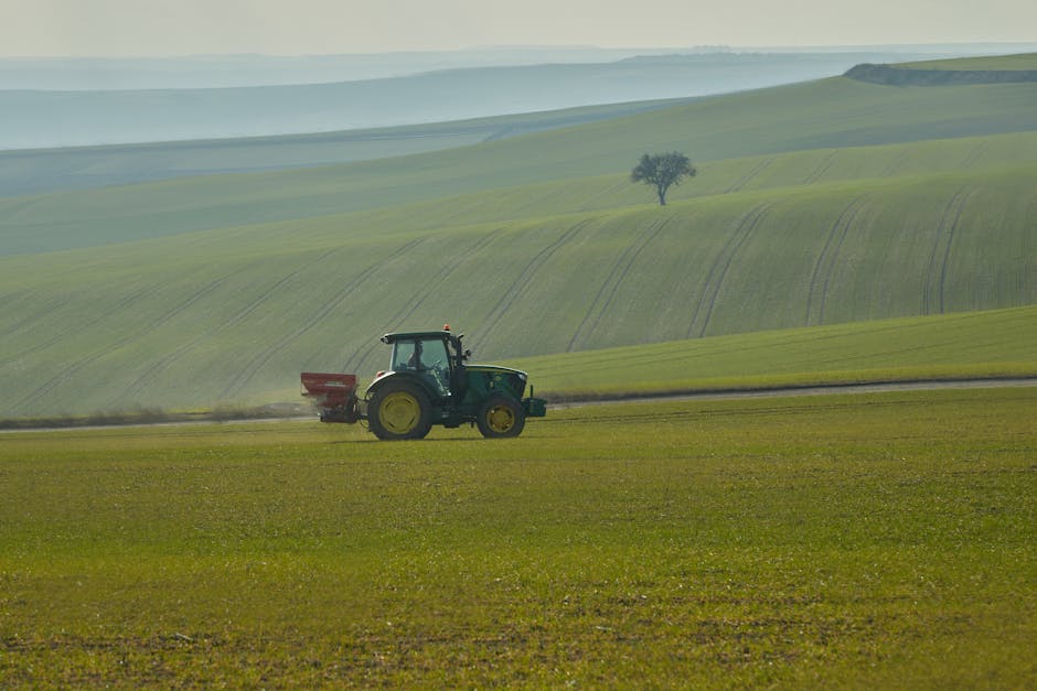 Por que o preço dos fertilizantes não caiu — mesmo com cessar-fogo no Irã
