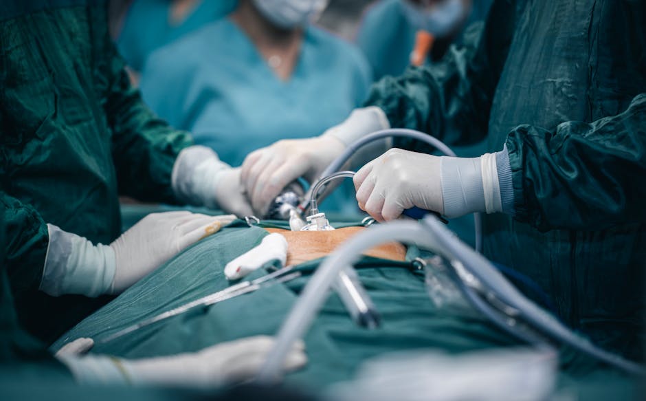 Immunotherapy After Surgery for People Who Have No Remaining Cancer Cells After Standard Treatment for Early-Stage Non-Small Cell Lung Cancer, INSIGHT Trial