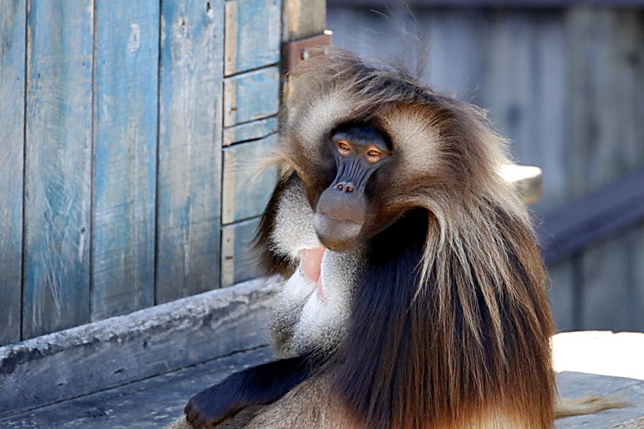 De figurinhas a cerveja gelada: Oxxo quer virar ponto de encontro na Copa