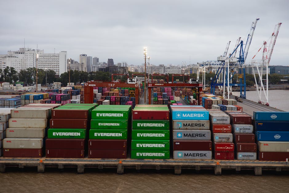 Acordo Mercosul-UE avança em meio à busca europeia por novos fornecedores