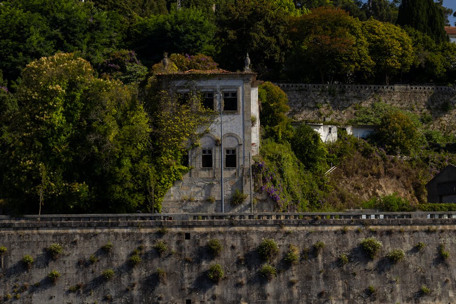 Minha Casa, Minha Vida: Governo reduz juros e amplia prazo de pagamento do Reforma Casa Brasil
