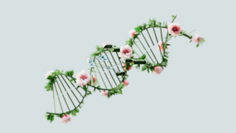 Deciphering the Genetic Architecture of Autoimmune Diseases