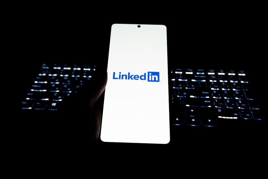 LinkedIn profile visitor lists belong to the people, says Noyb