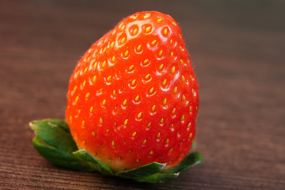 Ele transforma frutas amazônicas em ingredientes premium para 'gringos' e vai faturar US$ 14 milhões