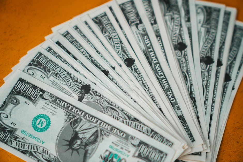 Fundo de US$ 25 milhões vai financiar pequenos produtores na Amazônia