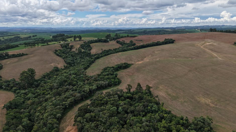 ANP confirma petróleo em sítio no Ceará; agricultor pode receber até 1% da produção