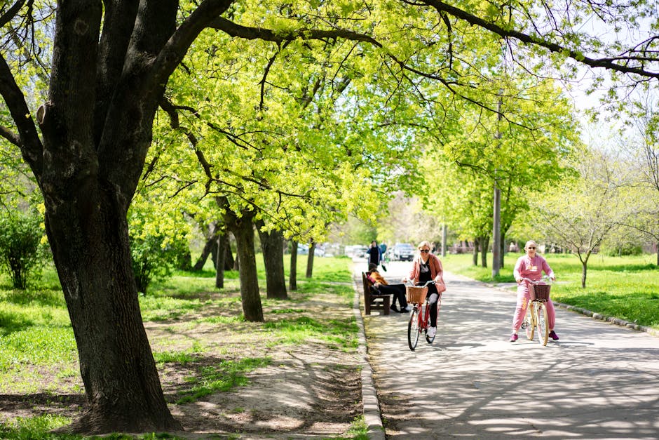 Bicycling Boosts Well-Being: A Scoping Review