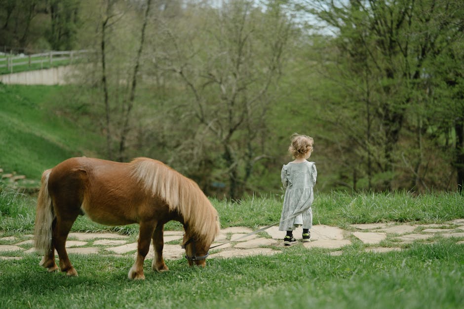 Pony AI prevê 3.500 táxis-robôs em 20 cidades até o fim de 2026
