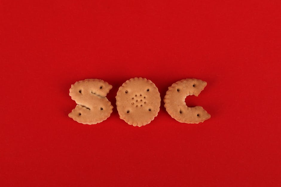 Com 80 lojas, Biscoitê quer chegar a 342 e crescer até 40%: ‘A ideia é ser mais do que um biscoito’