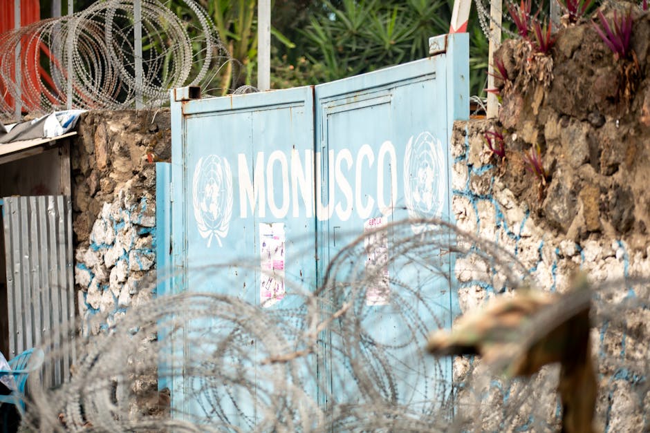 Ebola no Congo já soma 238 mortes suspeitas, diz governo
