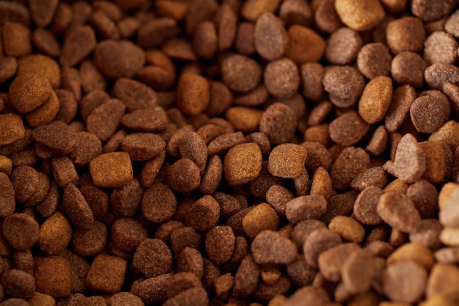 Cesta básica pet: estudo revela os produtos mais comprados por tutores