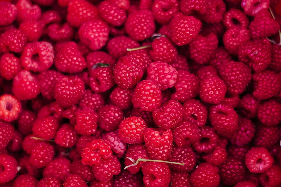 News about Raspberry Pi 6 and Microcontroller Development
