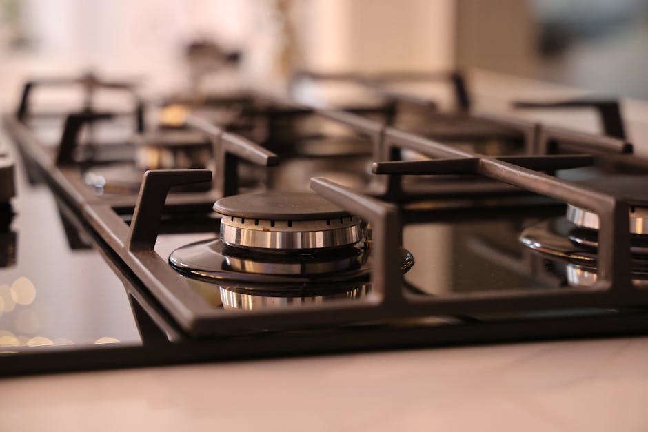 Indústria de SC que popularizou o cooktop no Brasil investe em fábrica em busca do R$ 1 bilhão