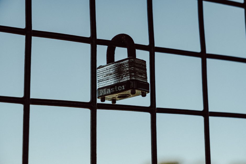 I built a vulnerable app and spent $1,500 seeing if LLMs could hack it
