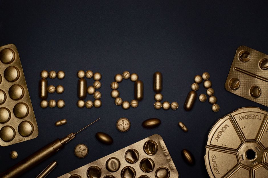 Ebola avança na África e já soma 488 casos; OMS alerta para risco de disseminação