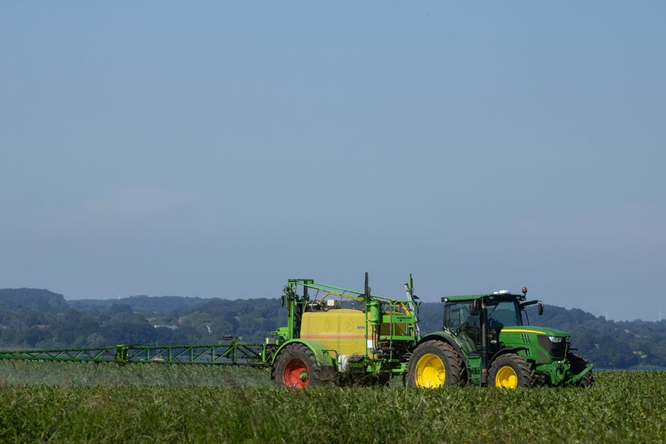 EU-banned pesticides found in rice, tea and spices