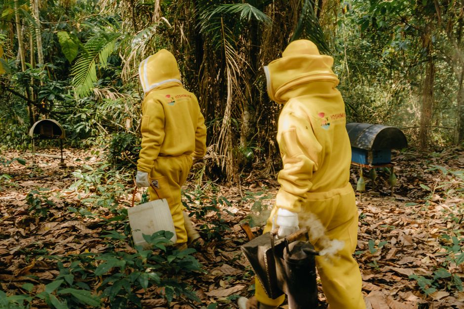 Natura gera R$ 86 bilhões em impacto positivo e antecipa meta em 5 anos