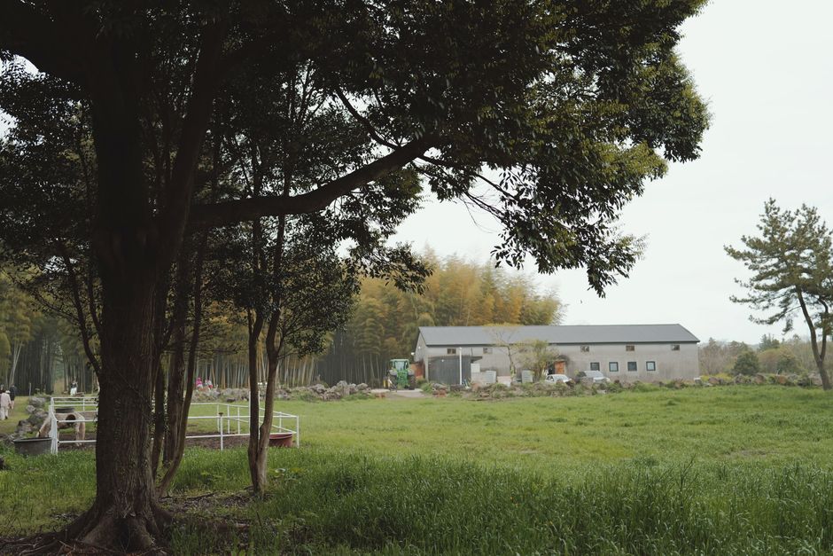 Como a Farm conquistou os EUA e transformou o mercado internacional em 40% do faturamento