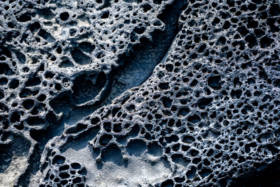 Eles furaram a bolha das bebidas vegetais. Agora, vão passar dos R$ 300 mi surfando onda wellness