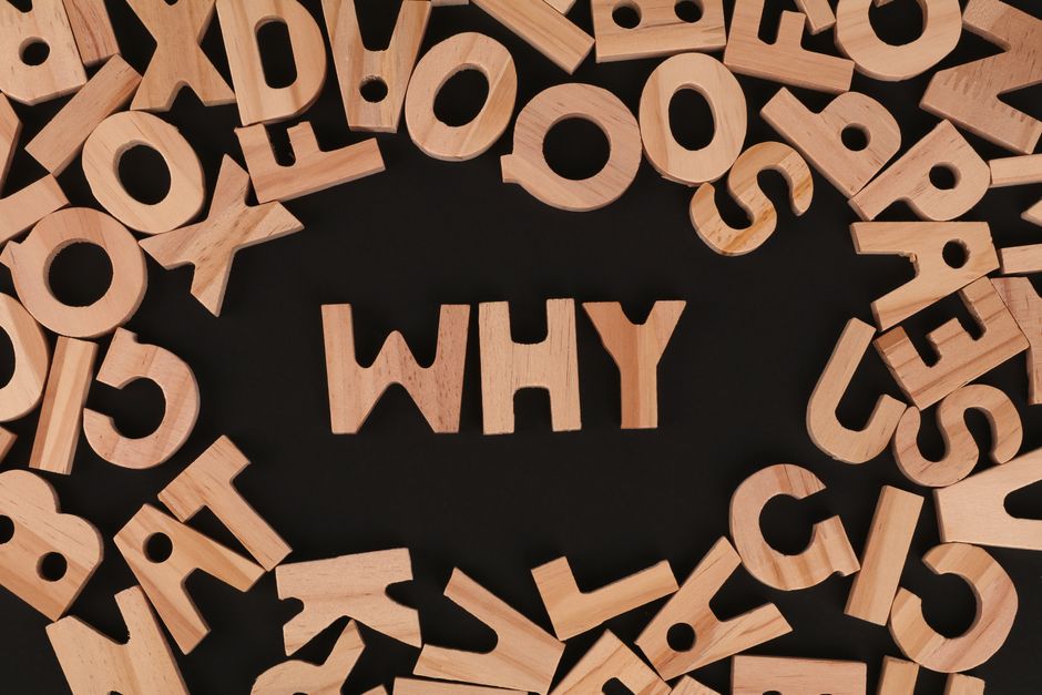 The 100k Whys of AI