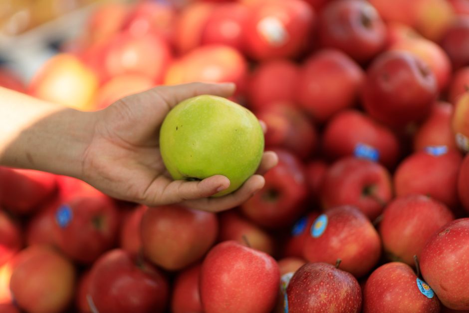 A ofensiva da Apple para colocar IA em todos os seus produtos