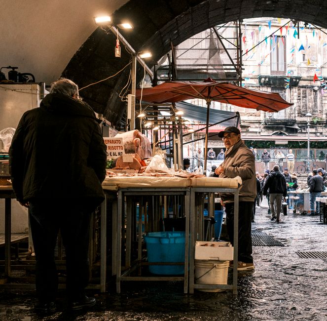 MarketFish – Simulate a market with 128 AI consumers before you launch