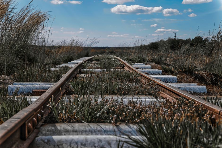 Ferrovia Transnordestina alcança 82% das obras; veja quando ficará pronta e qual será seu impacto