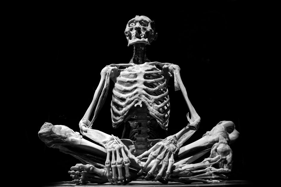 GLM 5.2 is nearly as accurate as a human book keeper