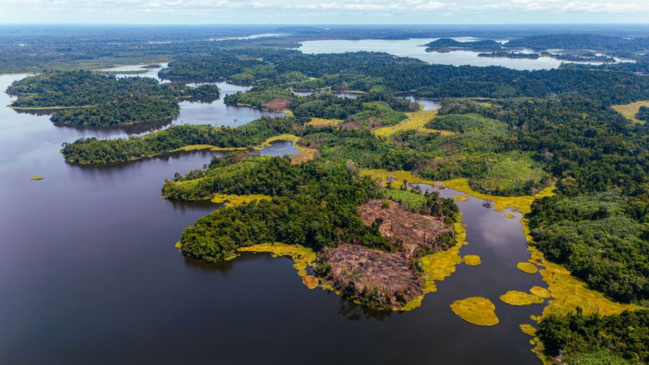 Desmate da Amazônia corta chuvas no Paraná e ameaça produção de grãos do estado