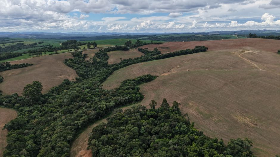 Desmatamento cai na Amazônia e 588 áreas protegidas ficam intactas no semestre