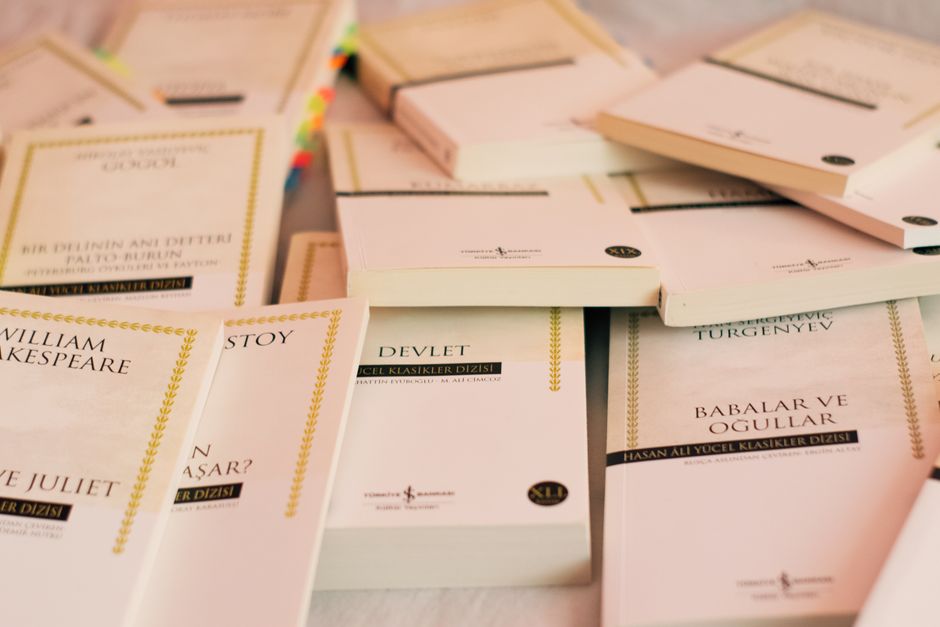 KANEx: Translating Kolmogorov-Arnold Networks' Interpretability to Medical Explainability