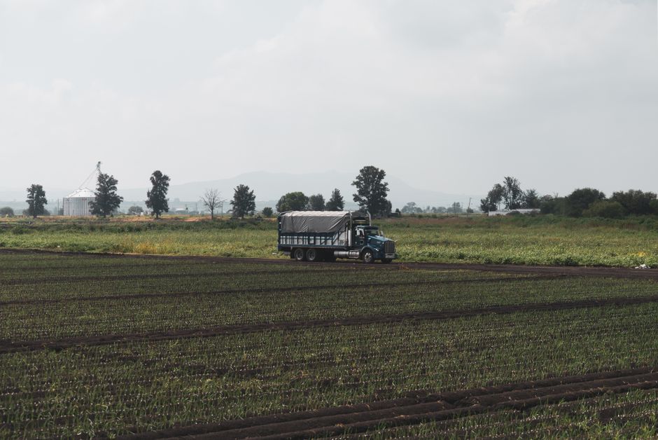 Cooperativas do agro desafiam a crise e movimentam R$ 487 bilhões