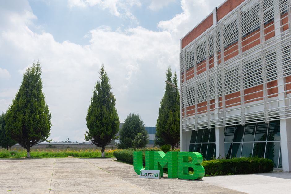 O que separa as empresas que usam IA das que ganham com ela