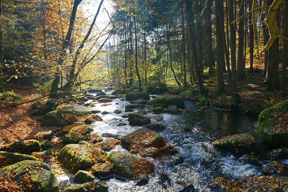 GenStream: Semantic Streaming Framework for Generative Reconstruction of Human-centric Media