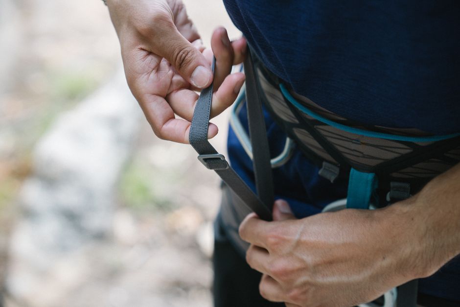Grow the Harness, Not the Context: From Strategy-Free Scaffolds to Reusable Specialist Agents