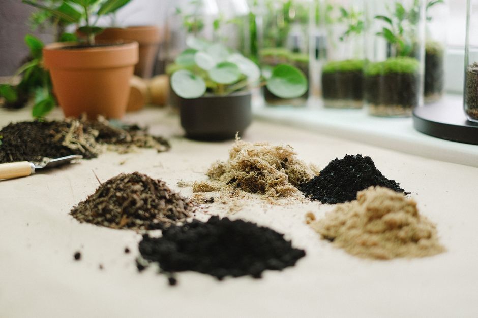 Como mexer na terra pode afetar a microbiota e a imunidade, segundo estudos