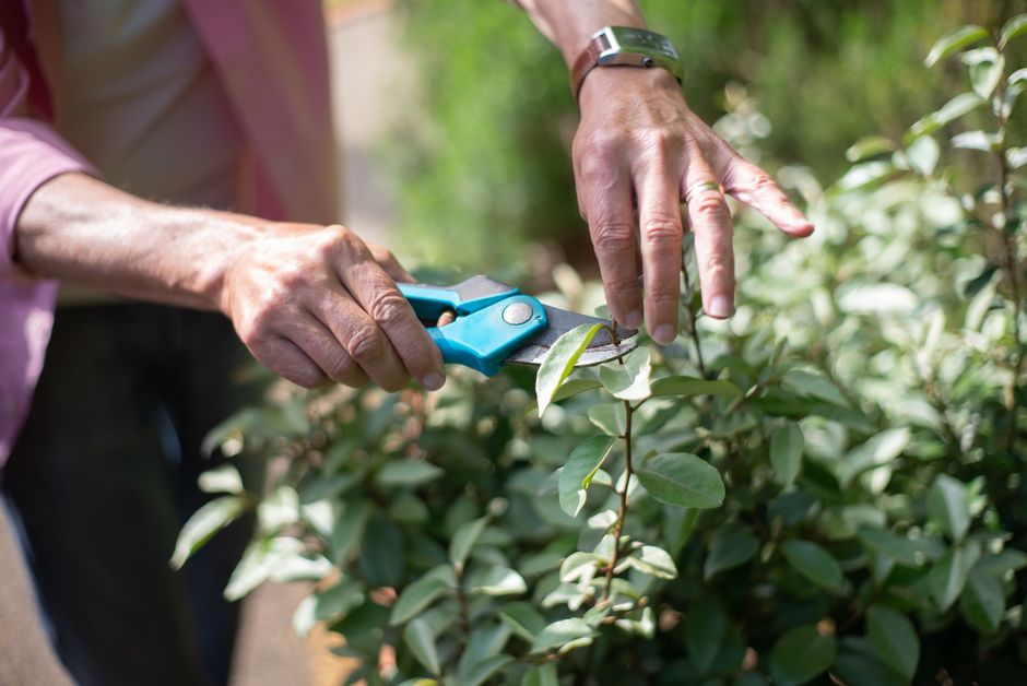 Towards Automatically Pruning Logging Code with Coding Agents: How Far Are We?